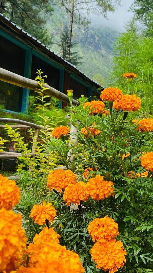 Himtrek Riverside Camps, Kasol Buitenkant foto