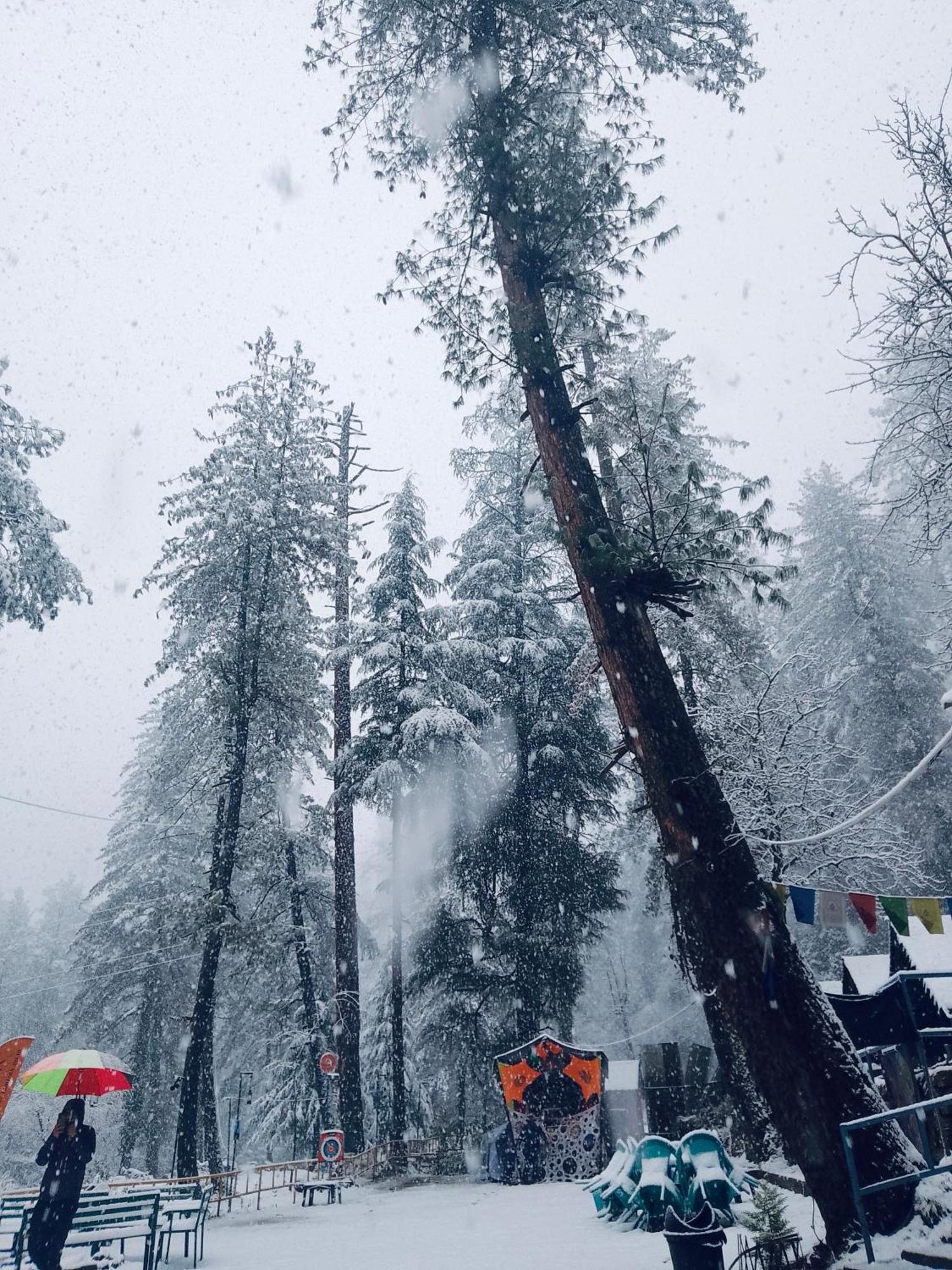 Himtrek Riverside Camps, Kasol Buitenkant foto
